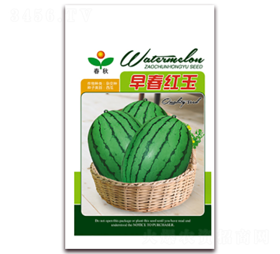 �紺�t��-���ϷN��-����N�I(y��)