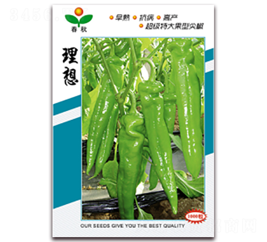 ����-�����N��-����N�I(y��)