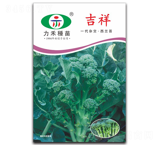 ����-���m���N��-�����r�I(y��)