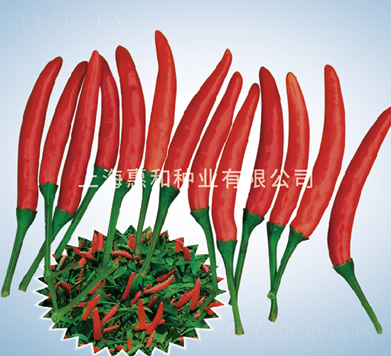 ����901-�����N��-�ݺͷN�I(y��)