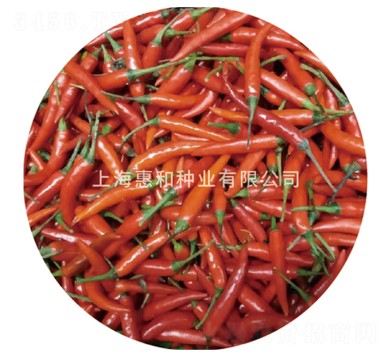 ����-�����N��-�ݺͷN�I(y��)