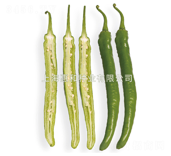 �G������̖-�����N��-�ݺͷN�I(y��)