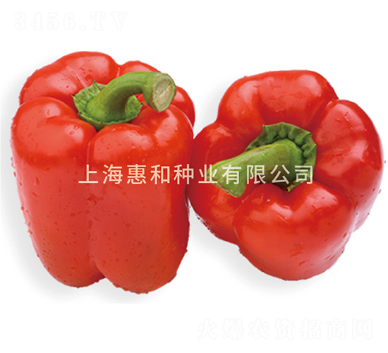 ��˹�_(d��)-�𽷷N��-�ݺͷN�I(y��)