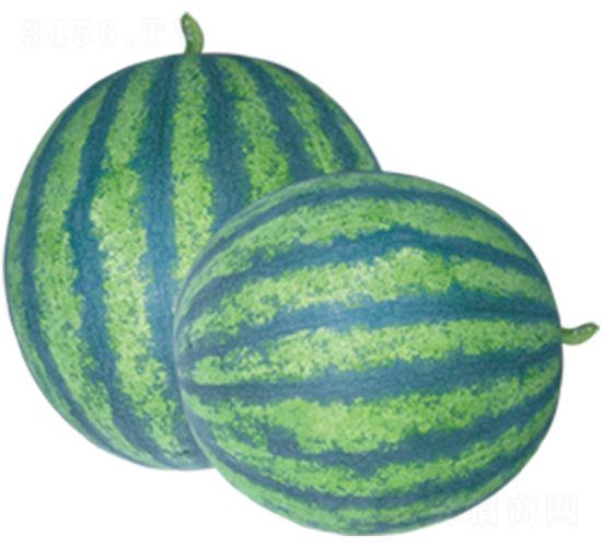 �ϵ�-���ϷN��-ɽ�|��Դ