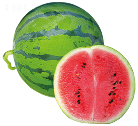 ����-���ϷN��-ɽ�|��Դ