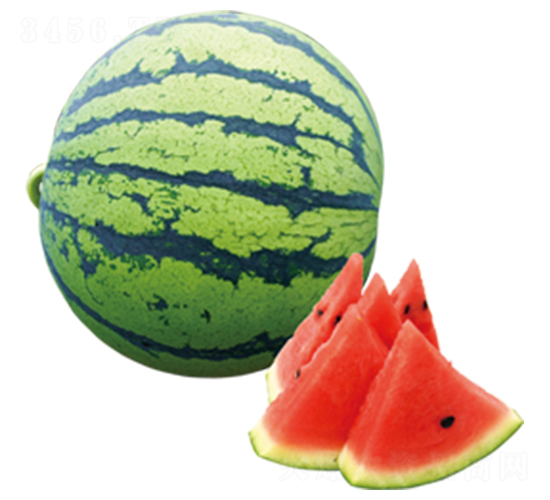 �A��һ̖-���ϷN��-ɽ�|��Դ