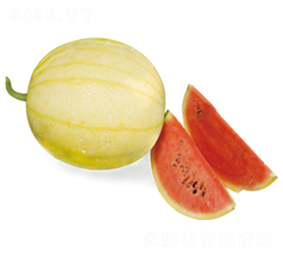 �S�P��-���ϷN��-ɽ�|��Դ