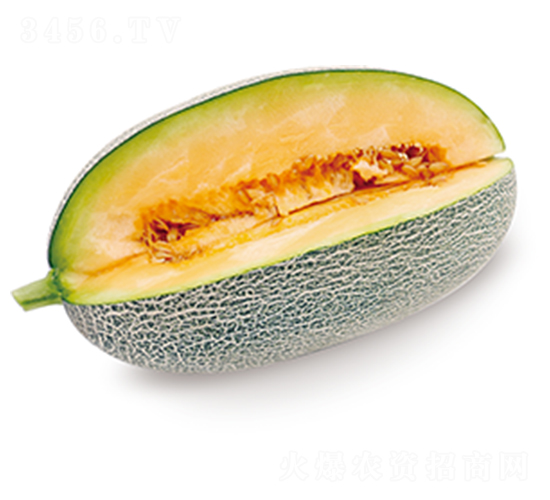 ����3̖(h��o)-��ϷN��-ɽ�|��Դ