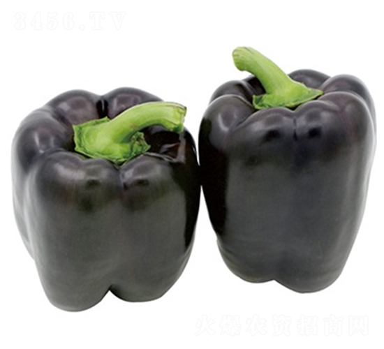 ��¡-�����N��-ɽ�|��Դ