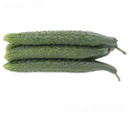 �G��6̖(h��o)-�S�ϷN��-ɽ�|��Դ