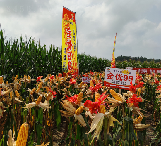 ����(y��u)99���׷N��Ч���D