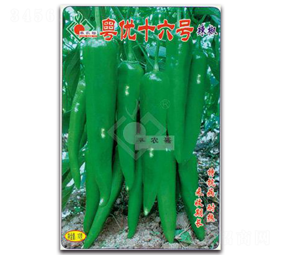 ����(y��u)ʮ��̖(h��o)-��Ƥ���N��-�Sԣ�r(n��ng)�I(y��)