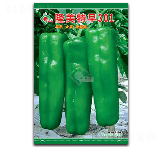 ¡������301-��Ƥ���N��-�Sԣ�r�I(y��)