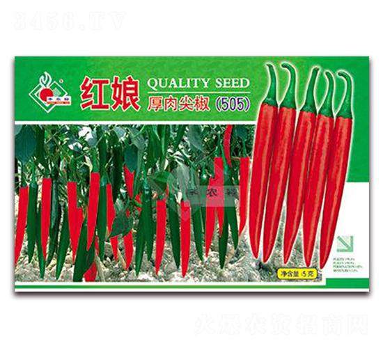 �t��505-�t�⽷�N��-�Sԣ�r(n��ng)�I(y��)