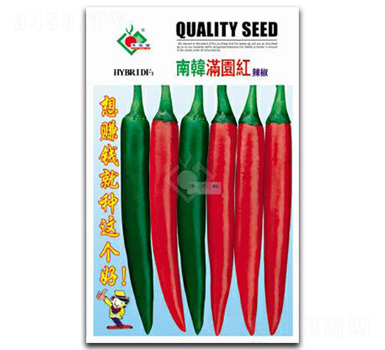 ���n�M�@�t-�t�⽷�N��-�Sԣ�r(n��ng)�I(y��)