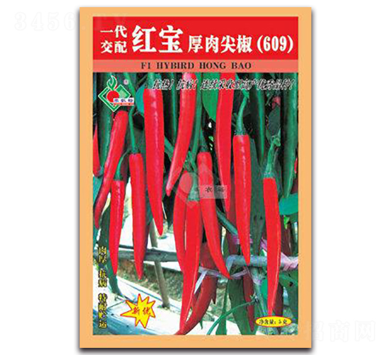 �t������⽷609-�t�⽷�N��-�Sԣ�r(n��ng)�I(y��)