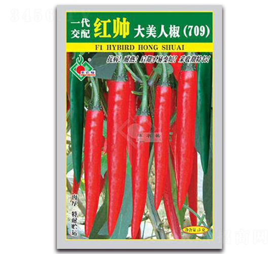 �t�������˽�-�t�⽷�N��-�Sԣ�r�I(y��)