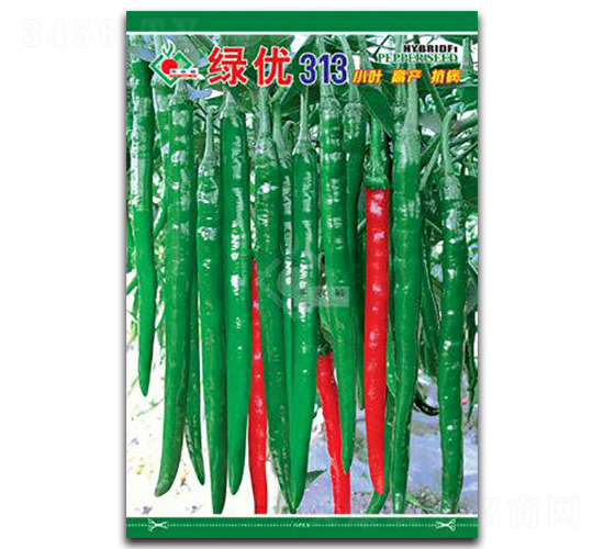 �G��(y��u)313-�����N��-�Sԣ�r(n��ng)�I(y��)