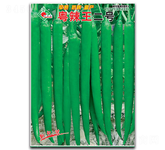 ��������̖(h��o)-�����N��-�Sԣ�r(n��ng)�I(y��)