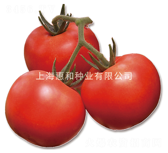 �t����̖-���ѷN��-�ݺͷN�I(y��)