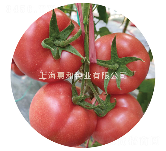 �ۼt̫����̖(h��o)-���ѷN��-�ݺͷN�I(y��)