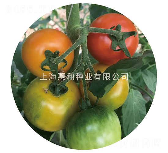 ��̫��-���ѷN��-�ݺͷN�I(y��)