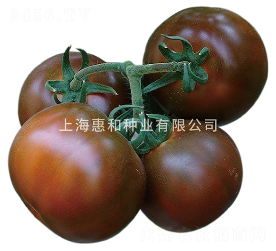 ��̫��-���ѷN��-�ݺͷN�I(y��)