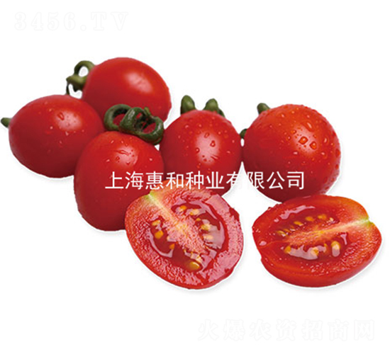 �t�x69-С���ѷN��-�ݺͷN�I(y��)