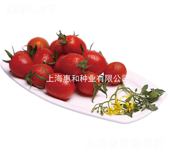 �ټt-С���ѷN��-�ݺͷN�I(y��)