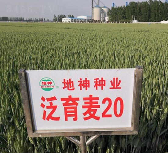 ������20-С���N��-����N�I(y��)