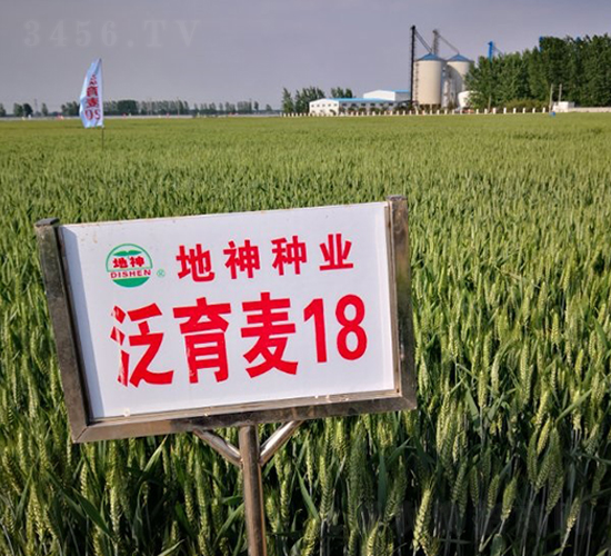 ������18-С���N��-����N�I(y��)