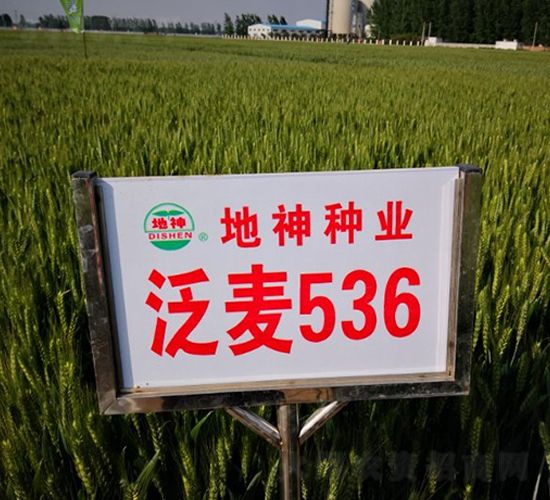 ����536-С���N��-����N�I(y��)