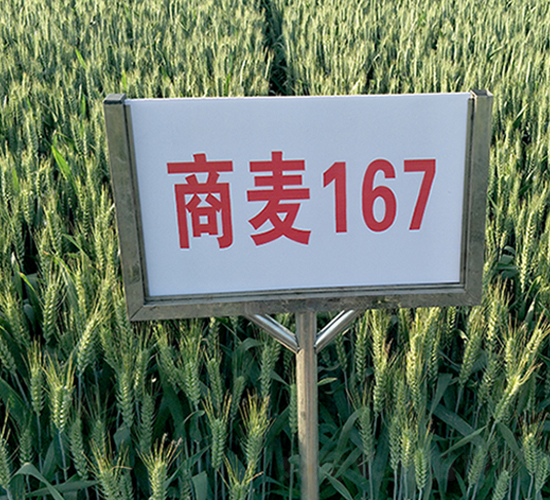 ����176-С���N��-����N�I(y��)