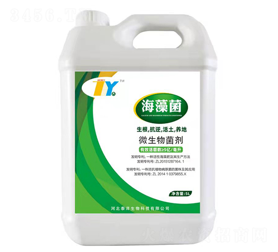 �����΢�������-̩������