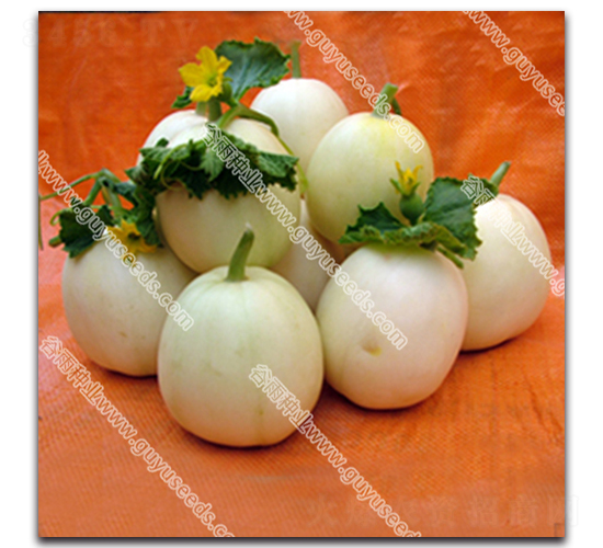 �������-��ϷN��-����N�I(y��)