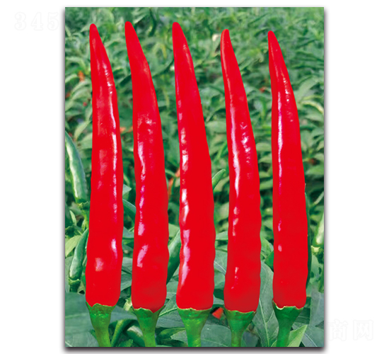 ����1015����-�����N��-����N�I(y��)