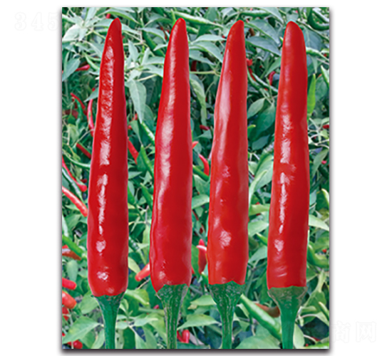 ����1013����-�����N��-����N�I(y��)