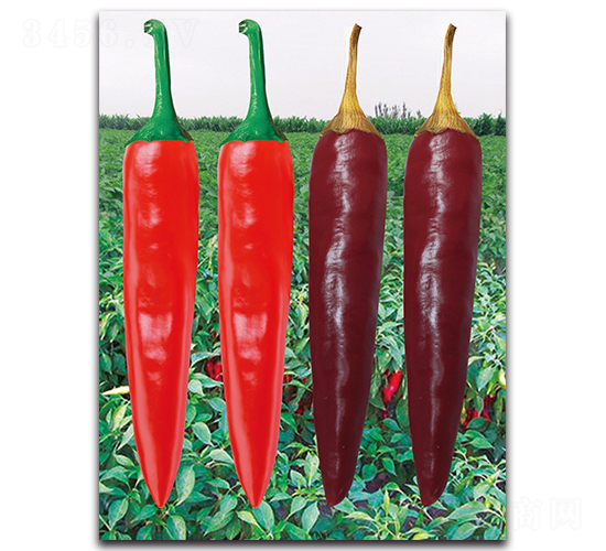 ����2063����-�����N��-����N�I(y��)