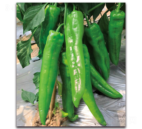 ����7091����-�����N��-����N�I(y��)