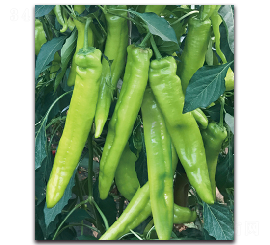 ���N9090����-�����N��-����N�I(y��)