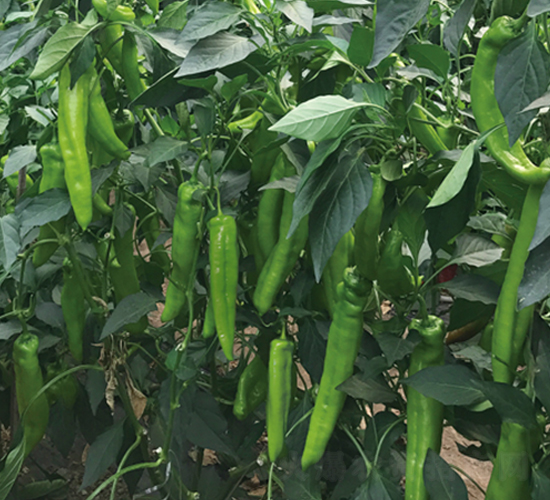 ���N8070����-�����N��-����N�I(y��)