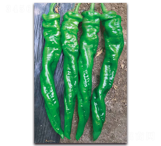 ���D9010����-�����N��-����N�I(y��)