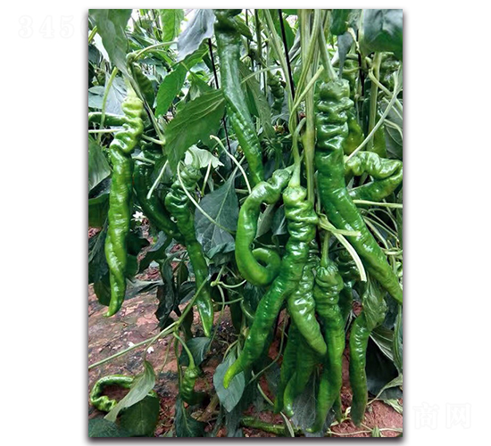 ���D7070����-�����N��-����N�I(y��)