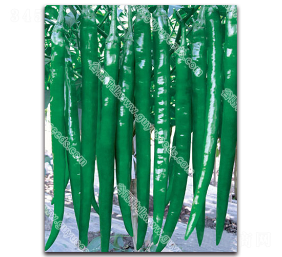 ����3050����-�����N��-����N�I(y��)