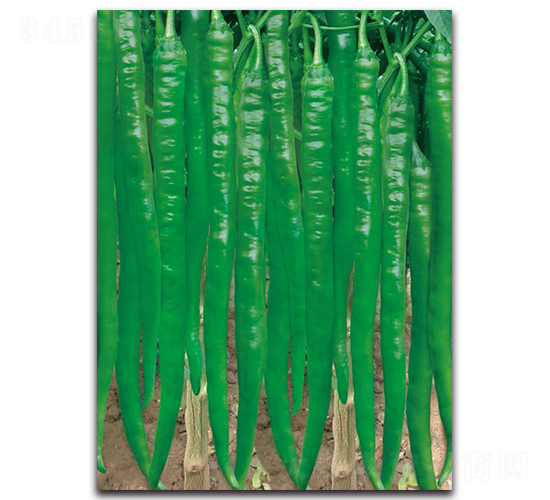 ����3032����-�����N��-����N�I(y��)