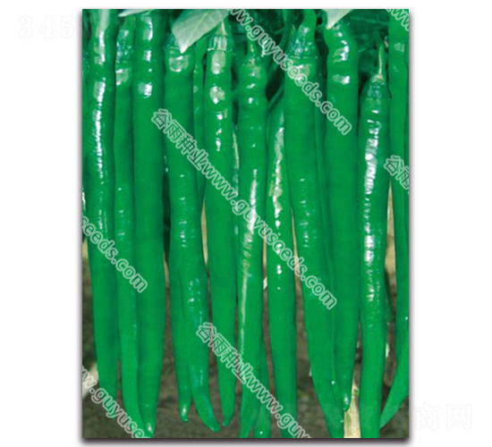 ����3030����-�����N��-����N�I(y��)