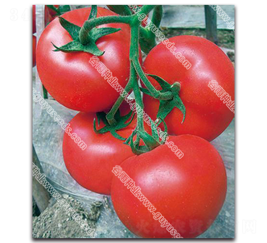 ����׿��һ̖-���ѷN��-����N�I(y��)