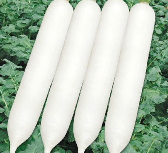 �L(zh��ng)��-�}���N��-�ݠ���