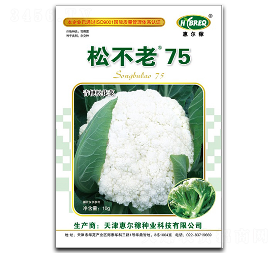 �ɲ���75-�ɻ��˷N��-�ݠ���