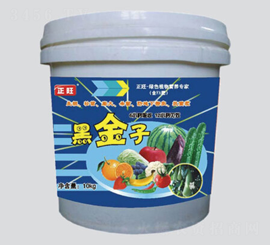 �ڽ���-�����r(n��ng)��